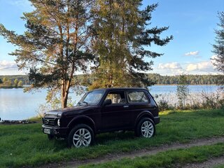 2011 Lada (ВАЗ) 2121 (4x4) I Рестайлинг, пурпурный, 380000 рублей, вид 3