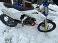 2019 Avantis Enduro 250, белый, 100000 рублей - вид 4