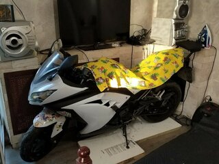 2014 Kawasaki Ninja 300, белый, 380000 рублей, вид 5