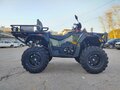 2026 Stels ATV-800 Guepard Cargo, зелёный, 1250000 рублей - вид 1