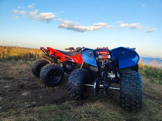2025 Другие ATV (другие), красный, 115000 рублей, вид 5