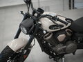 2026 Benda Chinchilla 500, серый, 650000 рублей - вид 3