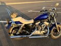 2015 Harley-Davidson Sportster 883, синий - вид 4