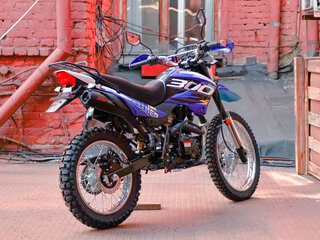 2025 Racer Panther, оранжевый, 166650 рублей, вид 5