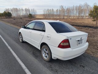 2001 Toyota Corolla IX (E120, E130), белый, 475000 рублей, вид 3