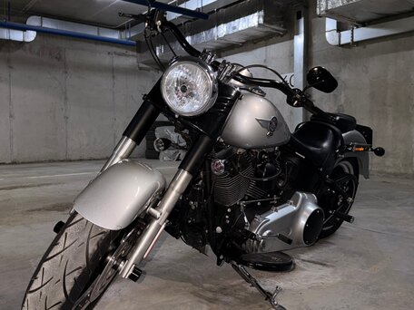2012 Harley-Davidson Fat Boy, серый, 1500000 рублей, вид 1