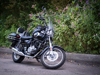 Bajaj Avenger