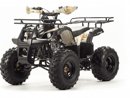 2026 Motoland ATV 125 Fox, бежевый, 94100 рублей, вид 1