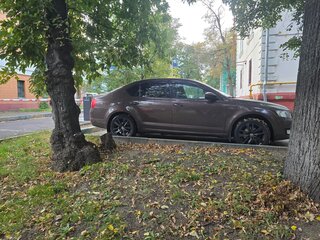2015 Skoda Octavia III (A7), коричневый, 1480000 рублей, вид 2