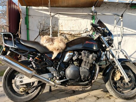 1999 Suzuki GSX 400 Inazuma, чёрный, 250000 рублей, вид 2