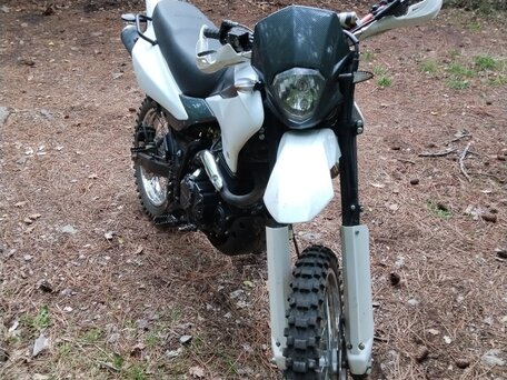 2015 Racer Panther, белый, 105000 рублей, вид 3