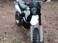 2015 Racer Panther, белый, 105000 рублей - вид 2