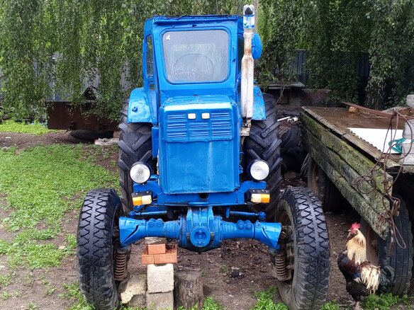 1984 ЛТЗ Т-40АМ, синий, 300000 рублей - вид 1