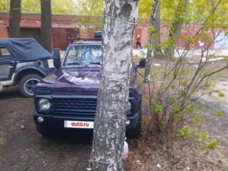 2002 Lada (ВАЗ) 2121 (4x4) I Рестайлинг, фиолетовый, 300000 рублей, вид 2