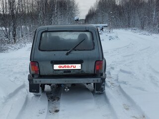 2007 Lada (ВАЗ) 2131 (4x4) Бронто-213102 I, серый, 255000 рублей, вид 5