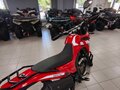 2026 Loncin DS250, красный, 258000 рублей - вид 10