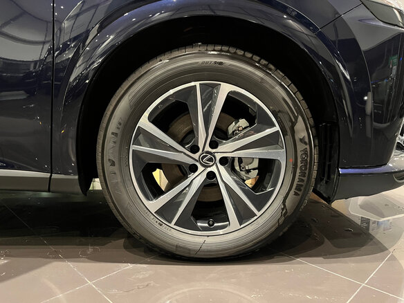2025 Lexus RX 300 V, синий, 7950000 рублей - вид 16