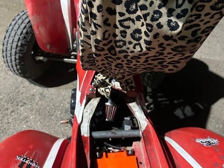 2013 Irbis ATV 250S, красный, 145000 рублей, вид 5