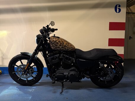 2019 Harley-Davidson Sportster 883, коричневый, 900000 рублей, вид 5