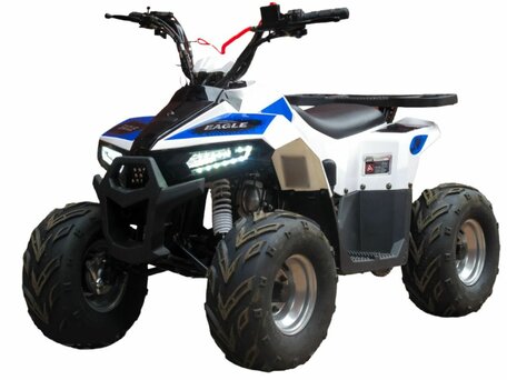 2026 Bison Eagle, белый, 89900 рублей, вид 1