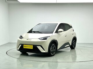2025 BYD Seagull 38.88 kWh I Рестайлинг, белый, 1000000 рублей, вид 3