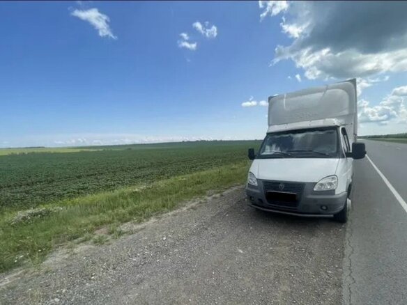 2013 ГАЗ ГАЗель (3302), белый, 1050000 рублей - вид 5