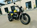 2026 Royal Enfield Bear 650, жёлтый - вид 1
