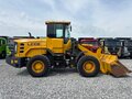 2022 LGCE L936H, жёлтый, 4600000 рублей - вид 1