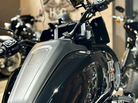 2021 Harley-Davidson Pan America, чёрный, 1890000 рублей - вид 10