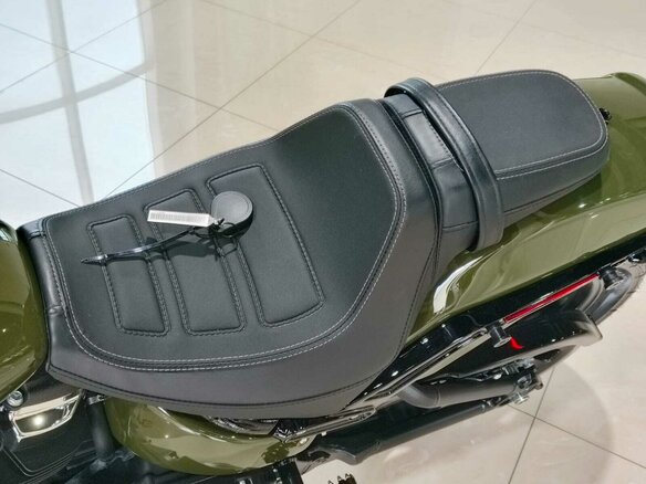2022 Harley-Davidson Fat Bob, зелёный - вид 12