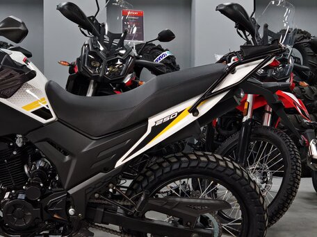2026 Loncin MS250, белый, 179900 рублей, вид 3