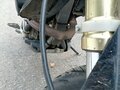 2006 Suzuki DR-Z 400 SM, чёрный, 420000 рублей - вид 8
