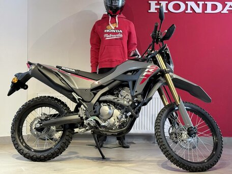 2025 Honda CRF 300L, серый, 891000 рублей, вид 1
