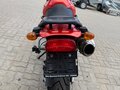 2005 Triumph Tiger 955i, красный, 355000 рублей - вид 4