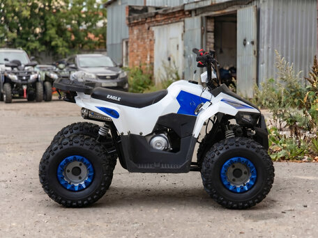 2026 Motoland ATV 110 Eagle, белый, 84600 рублей, вид 2