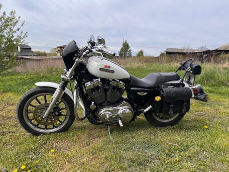 2008 Harley-Davidson Sportster 1200, белый, 650000 рублей, вид 1