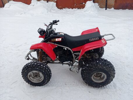 2000 Yamaha Blaster YFS200, пурпурный, 250000 рублей, вид 2