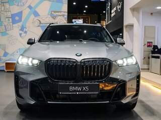 2025 BMW X5 40d IV (G05/G18) Рестайлинг, серый, 13790000 рублей, вид 2