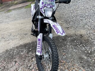 2024 Motoland XR250 Enduro, белый, 124899 рублей, вид 2