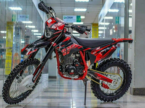 2026 BSE Z10, красный, 206400 рублей