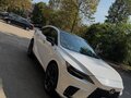 2025 Lexus RX 350 V, белый, 9350000 рублей - вид 1