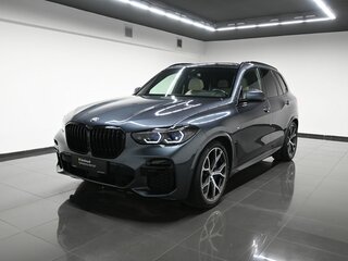 2021 BMW X5 40d IV (G05/G18), серый, 10800000 рублей, вид 1