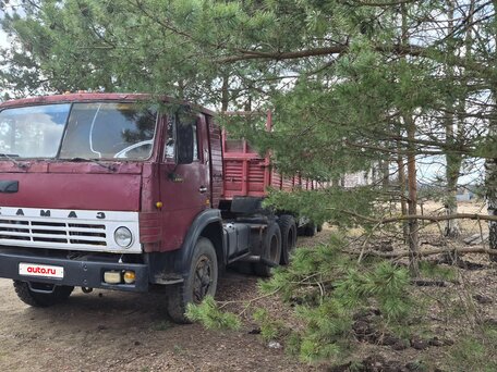 1981 КамАЗ 5410, красный, 700000 рублей, вид 5