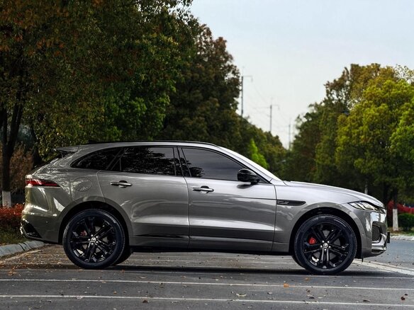 2024 Jaguar F-Pace I Рестайлинг, серебристый, 5990023 рублей - вид 8