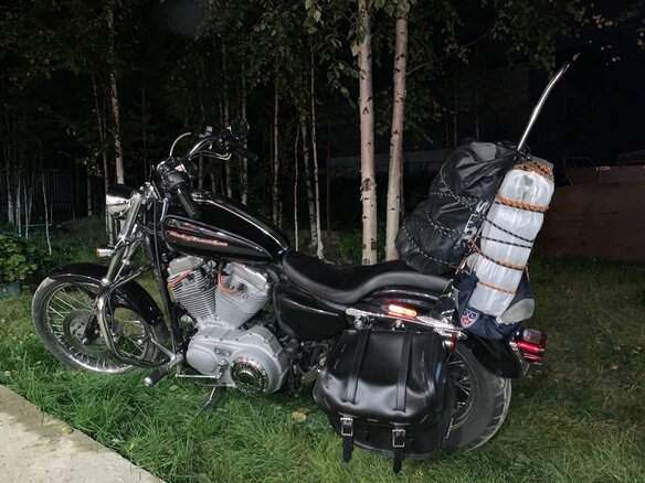 2005 Harley-Davidson Sportster 883, чёрный, 590000 рублей - вид 16
