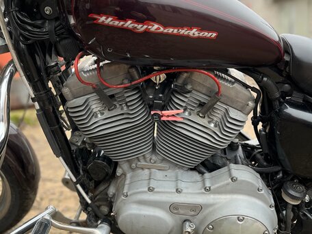 2005 Harley-Davidson Sportster 883, красный, 580000 рублей, вид 5