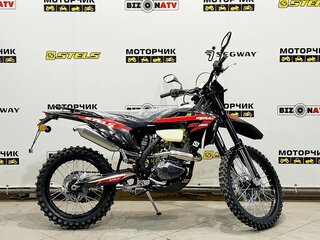 2026 Stels 250 Enduro, чёрный, 191000 рублей, вид 5