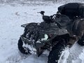 2011 Stels ATV-500, чёрный, 330000 рублей - вид 3