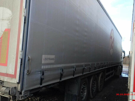 2024 Sotrans SC3-1, серый, 2570985 рублей, вид 3