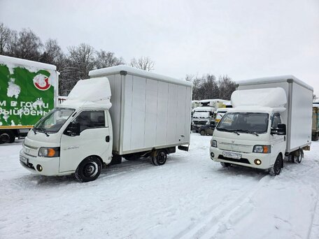 2023 Sollers Argo, белый, 1250000 рублей, вид 2